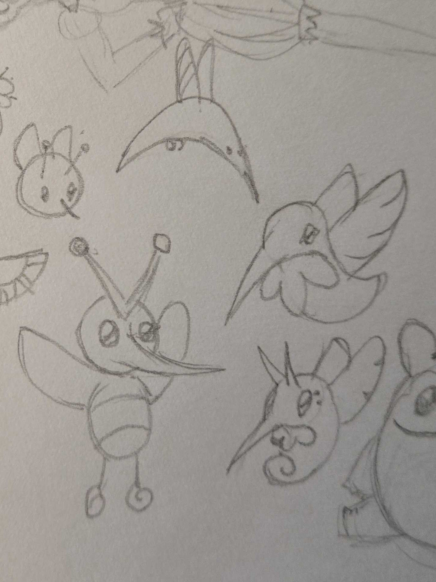 A small, fluffy bug with a long proboscis.