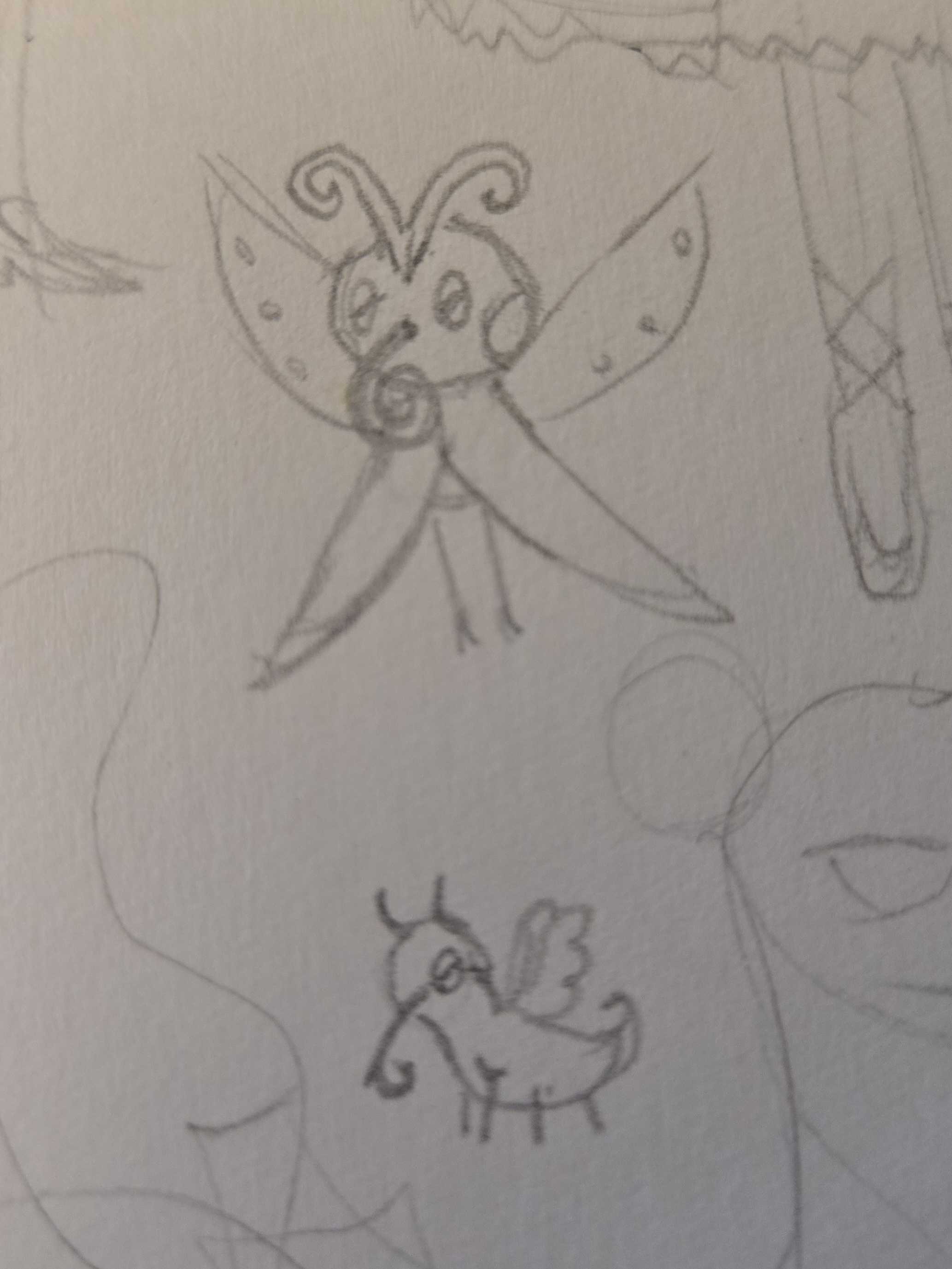 A small, fluffy bug with a long proboscis.