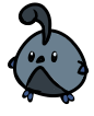A round, dark blue-gray bird with a teardrop shaped head crest.