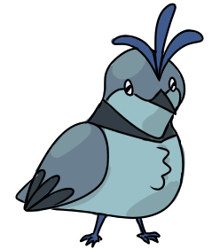 A fluffy, blue-grey bird.