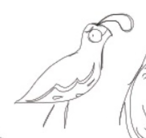 A nervous-looking bird with a teardrop-shaped crest.